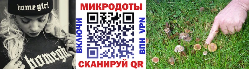 Купить где  Чекалин  Псилоцибиновые грибы мухоморы 
